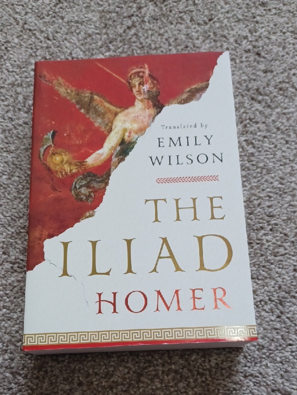 The Iliad by Homer - Emily Wilson Translation
